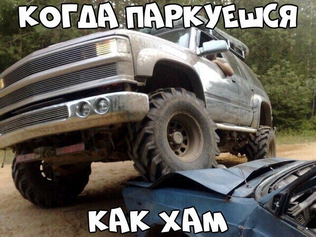 Автовсячина