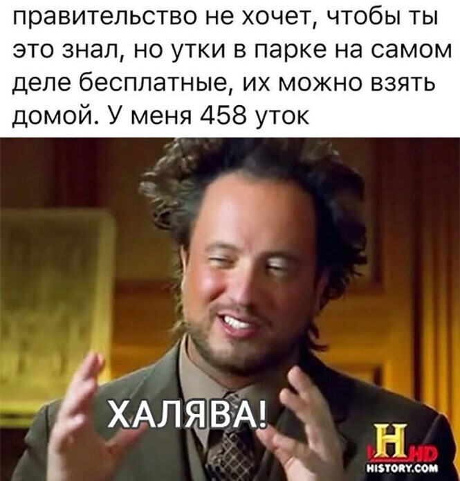 Смешные и познавательные картинки