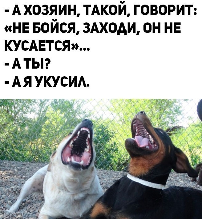 Утренняя улыбака