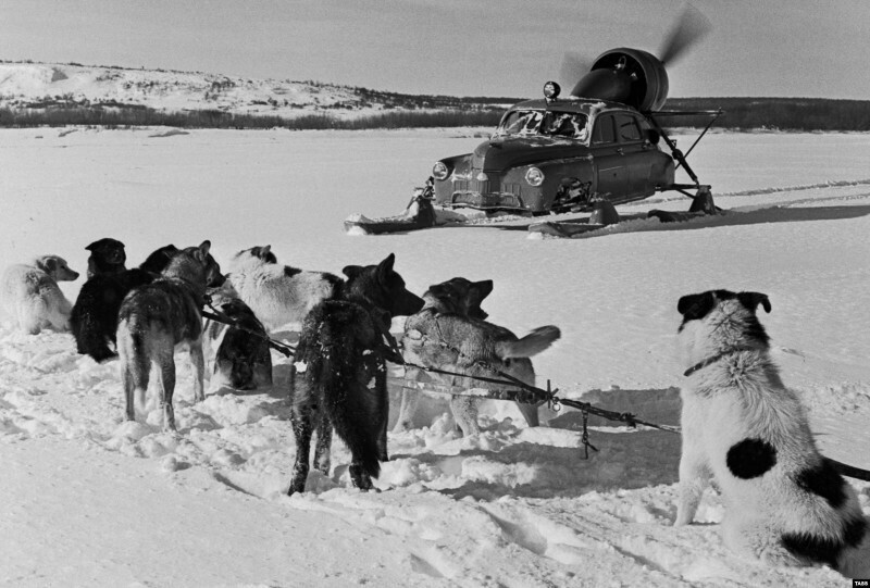 Собачья упряжка встречает аэросани с кузовом автомобиля «Победа»: "Север-2". СССР, Камчатка, 1962 год