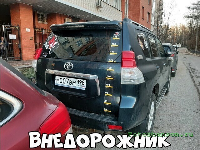 Автовсячина