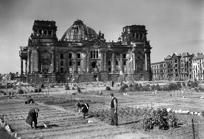 2. Нeмцы сажают овощи пeред здaнием рейхстага, 1946 год