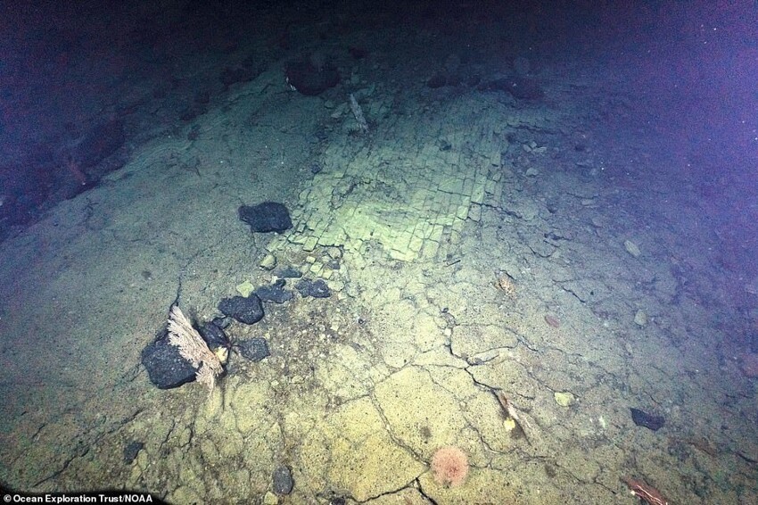 Ученые обнаружили «дорогу из желтого кирпича» на дне Тихого океана