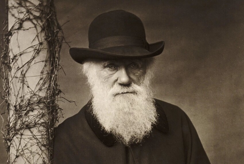 «Преступление века», которого не было: похищение блокнотов Дарвина и 20 лет поисков