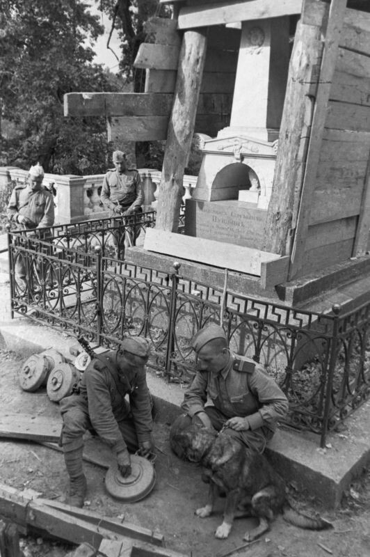 Советские саперы проводят разминирование могилы А.С. Пушкина в Святогорском монастыре