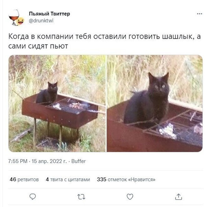 Смешные и познавательные картинки