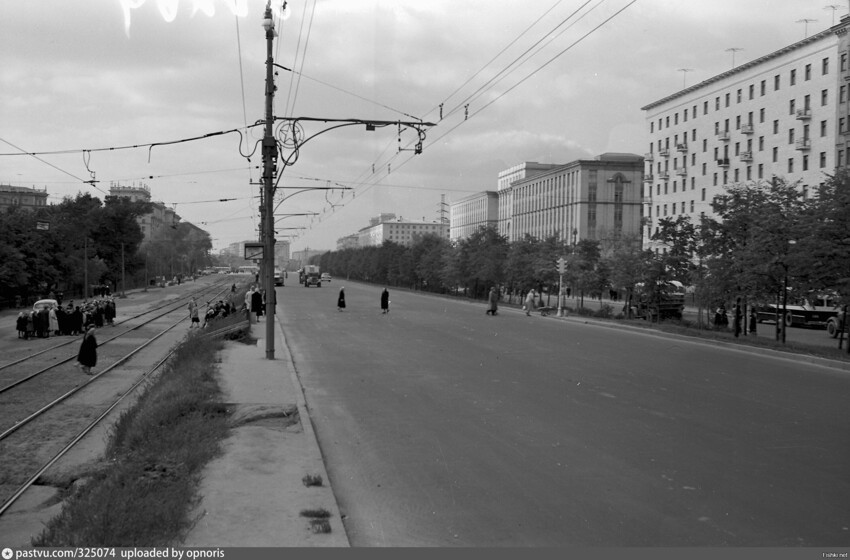 Ленинградский проспект (напротив дома 66 и Чапаевского парка)