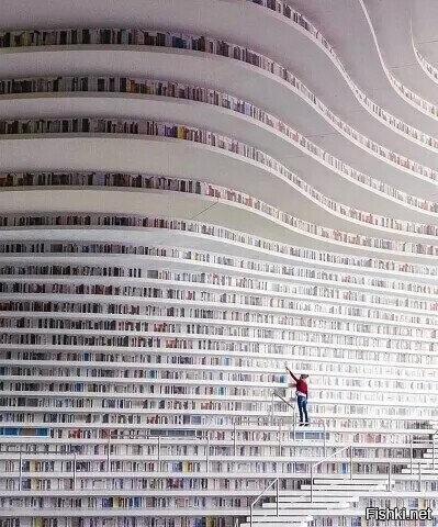 Библиотека нового района Биньхай в Тяньцзине (кит