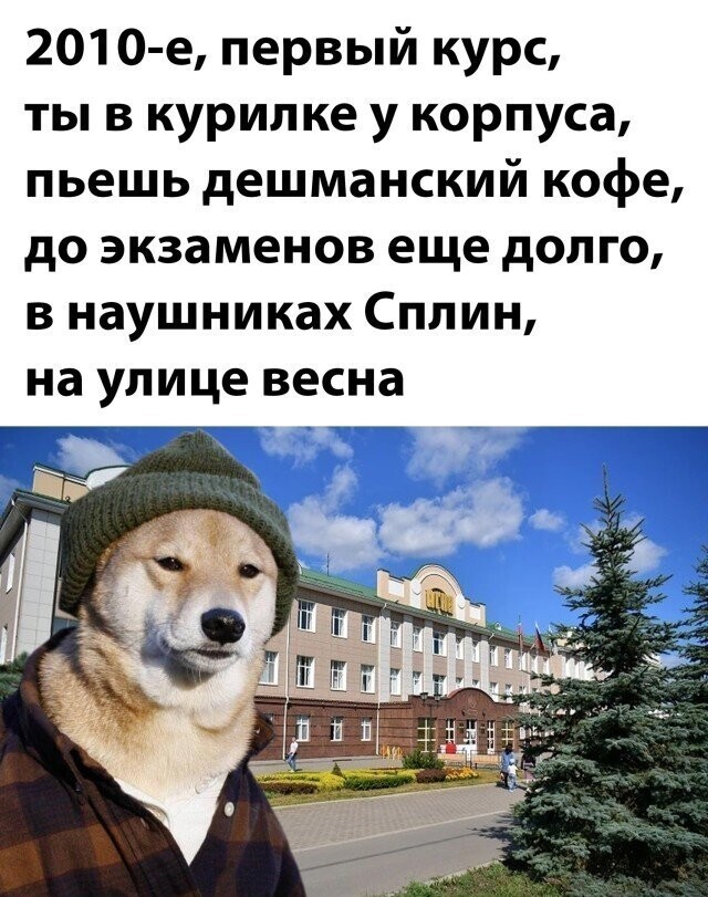 Намешалось