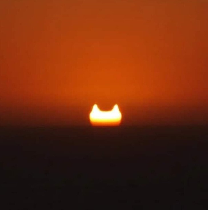 Солнечное затмение, напоминающее огромного кота