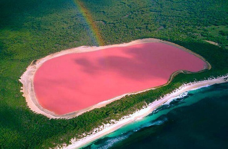 "Розовое" озеро Хиллиер в Австралии