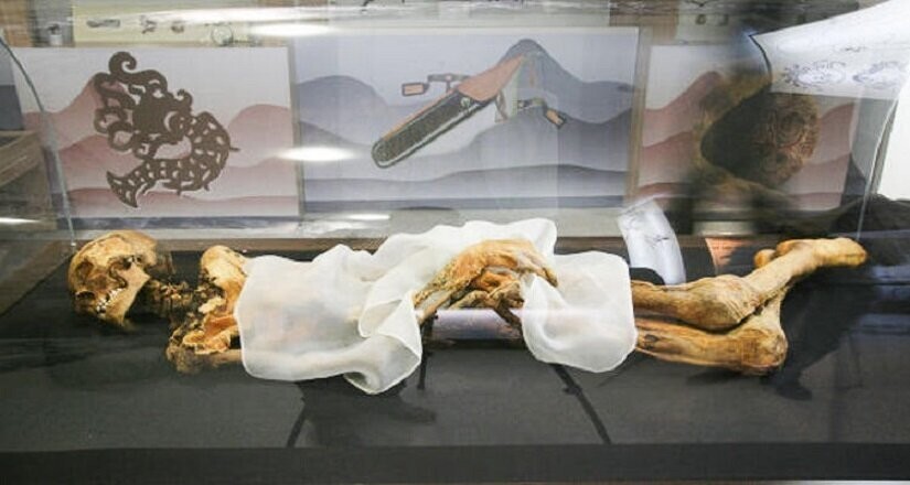«Укокская принцесса»: что показал анализ ДНК знаменитой мумии