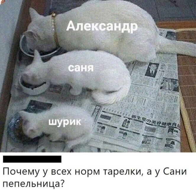 Усатый юмор. Часть 4