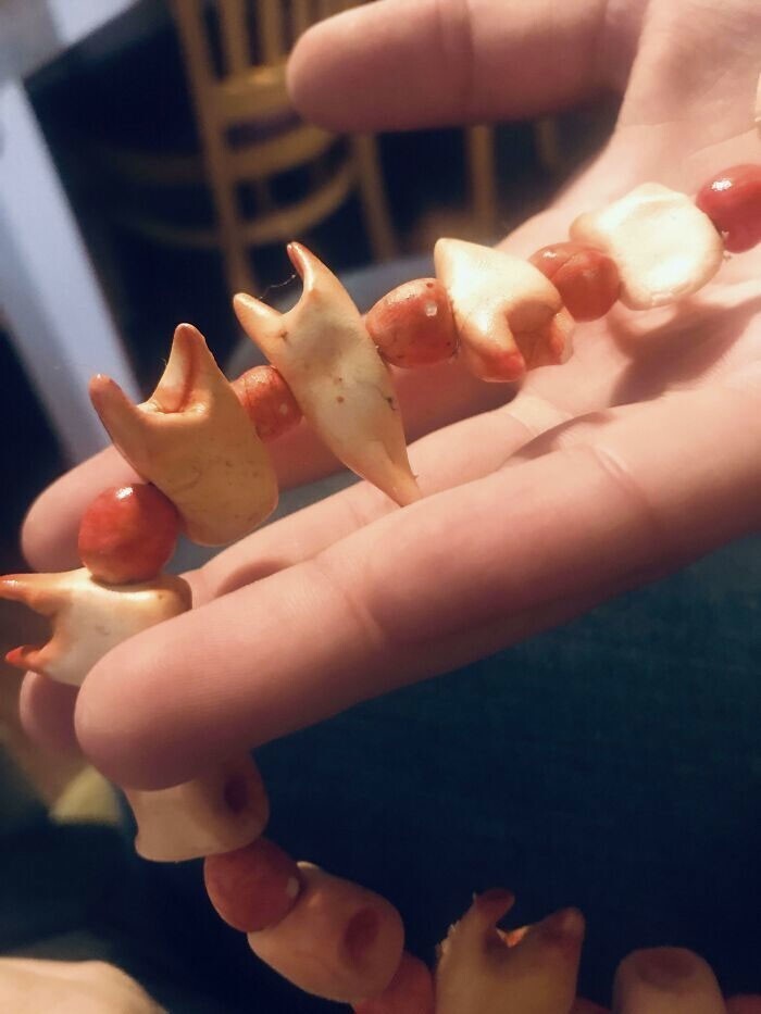 28. "Моя дочь сделала реалистичное ожерелье из пластилиновых зубов"