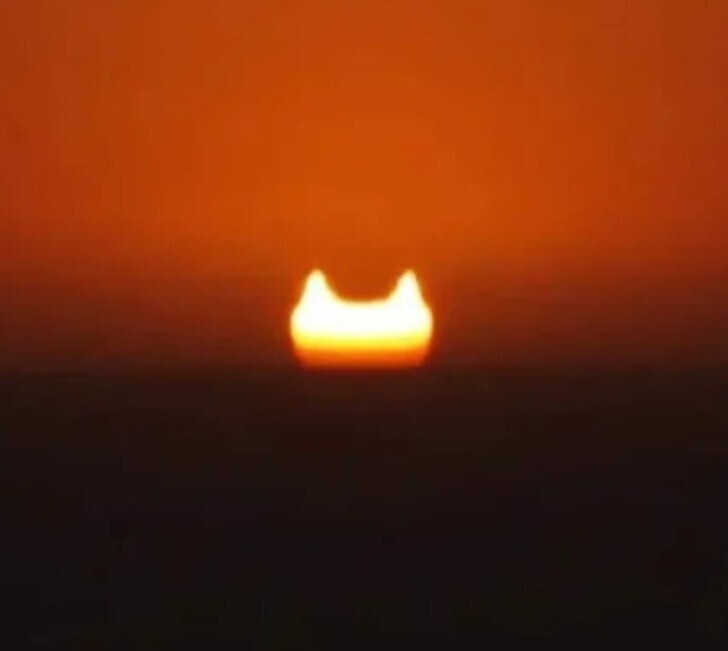 "Солнечное затмение на закате похоже на гигантскую кошачью голову"