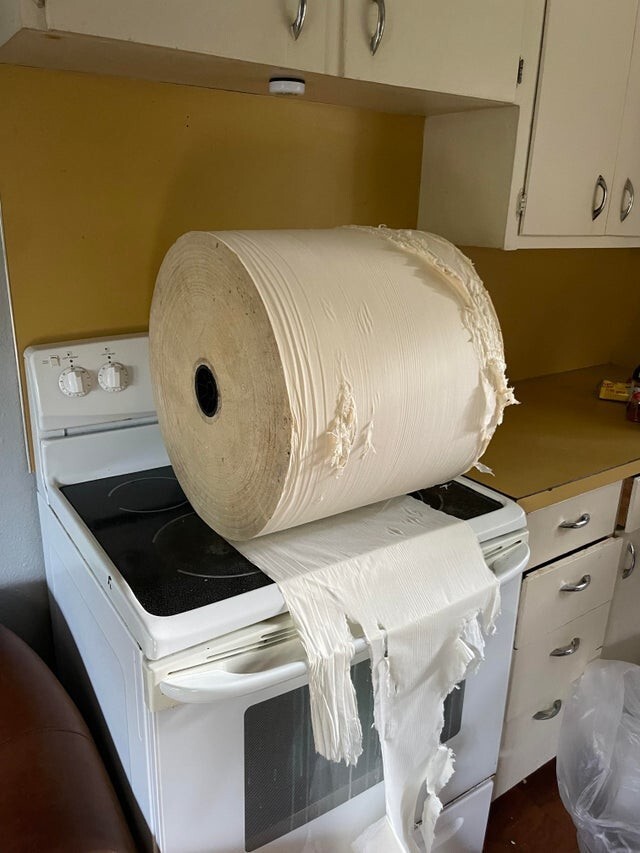 Гигантский рулон туалетной бумаги, которому более 30 лет