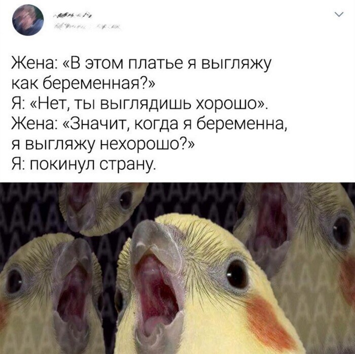 Скрины из соцсетей