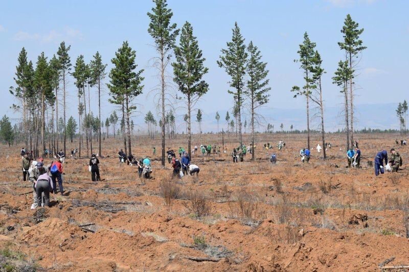 Живые памятники в память о 27 миллионов погибших в ВОВ