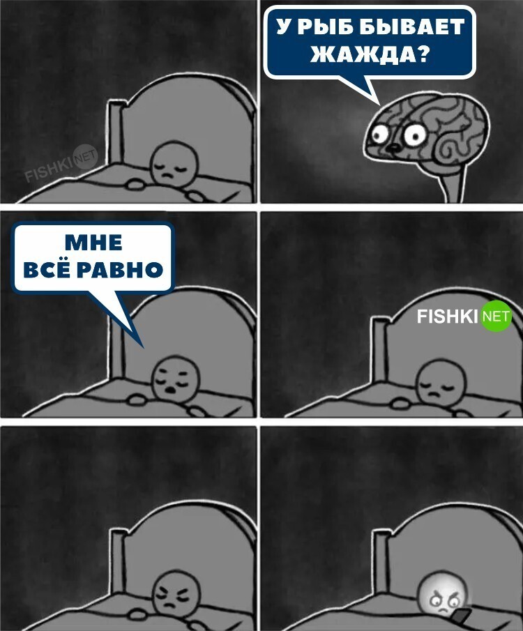 Так, стоп!