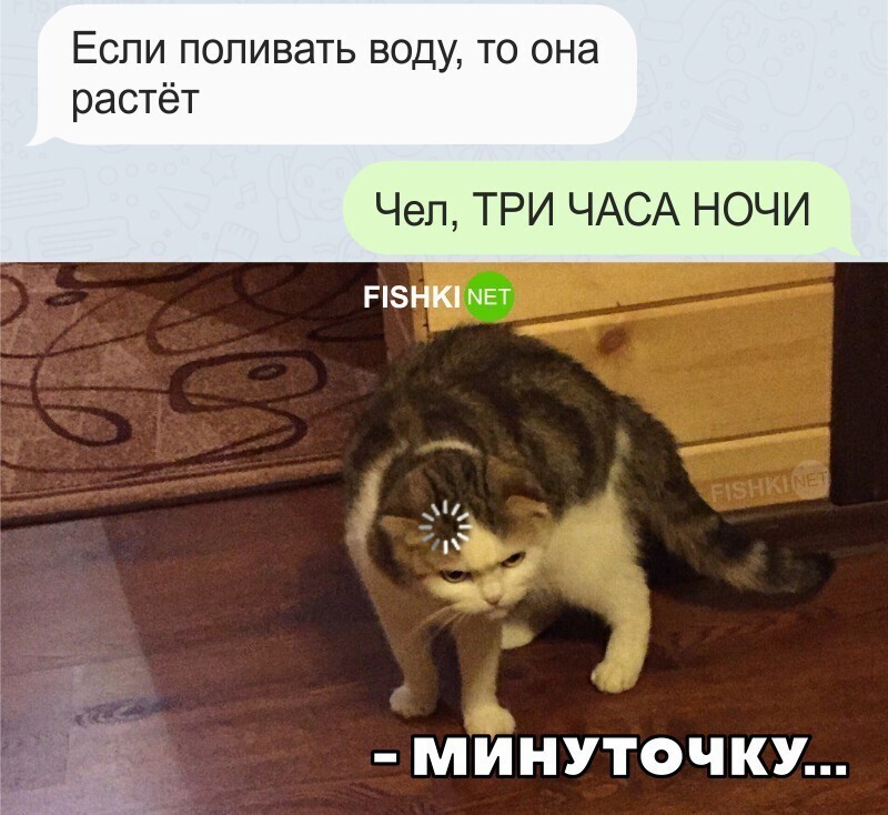 Минуточку 