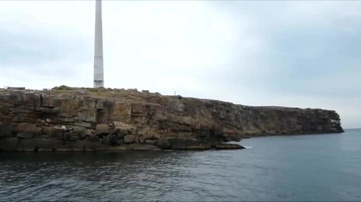 После этого сюжета Зеленский точно закажет киллеру Главнокомандующего ВСУ Залужного 