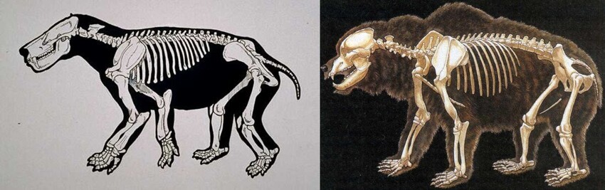 Титаноиды: первые млекопитающие размера XXL