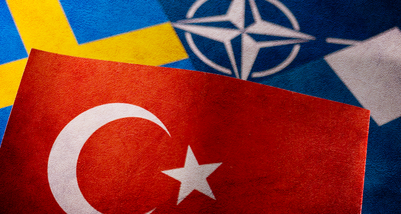 Турция и НАТО по разные стороны фронта