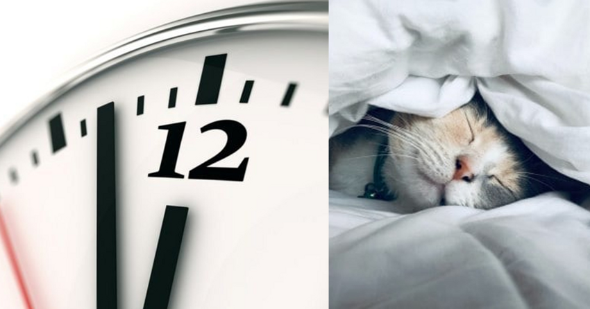 Ученые выяснили, почему люди стали спать меньше