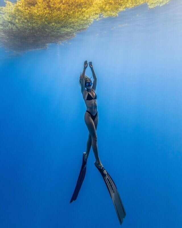 Красивые подводные фотографии