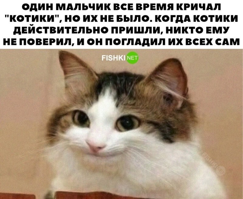 Скрины из соцсетей