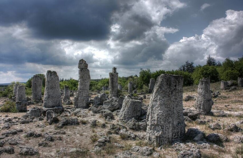 Как в Болгарии появился Каменный лес