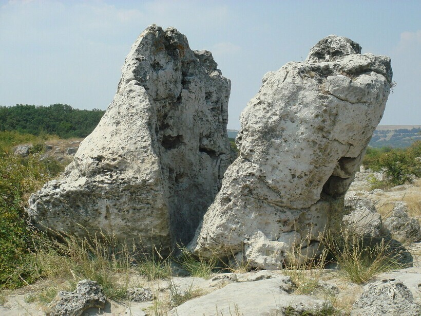 Как в Болгарии появился Каменный лес