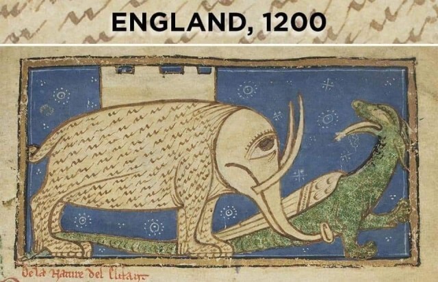 Как европейцы раньше представляли слона
