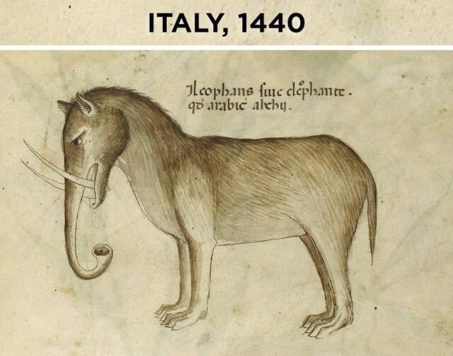 Как европейцы раньше представляли слона