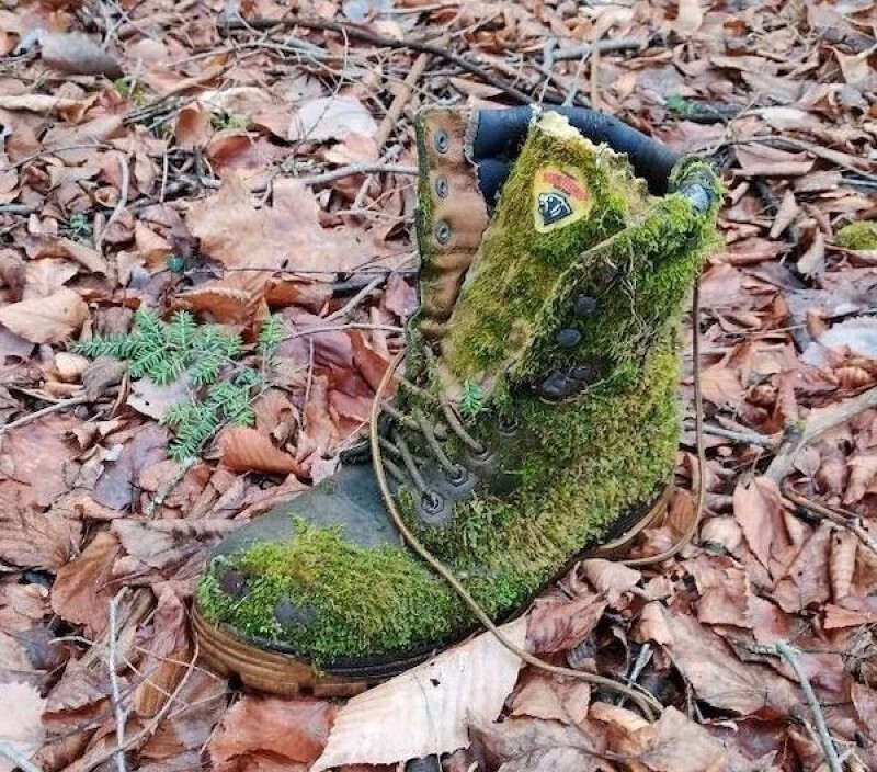 Ботинок, заросший мхом в лесу