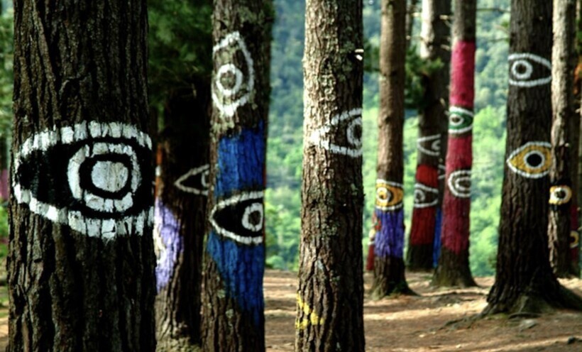 Зачем деревья в лесу Ома раскрасили в разные цвета