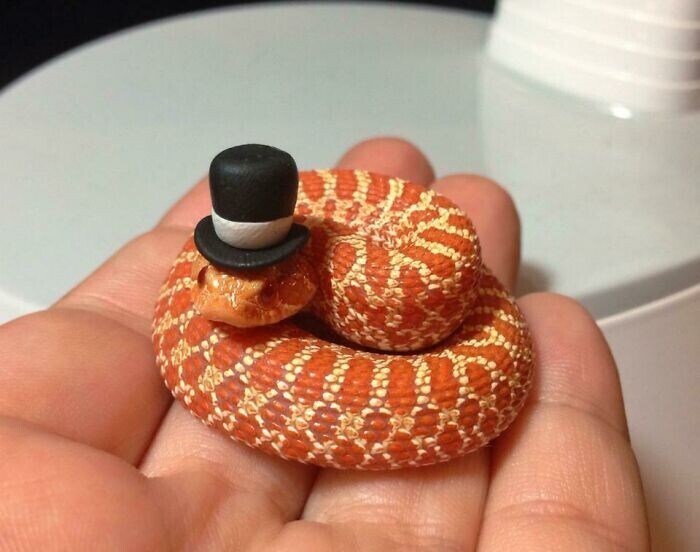 Змей-джентльмен
