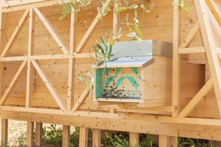 В Италии сдают дом, где можно спать под жужжание 1 миллиона пчёл