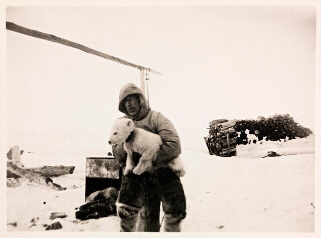 Полярный исследователь Роальд Амундсен с белым медвежонком "Мари", остров Айон 1920 год