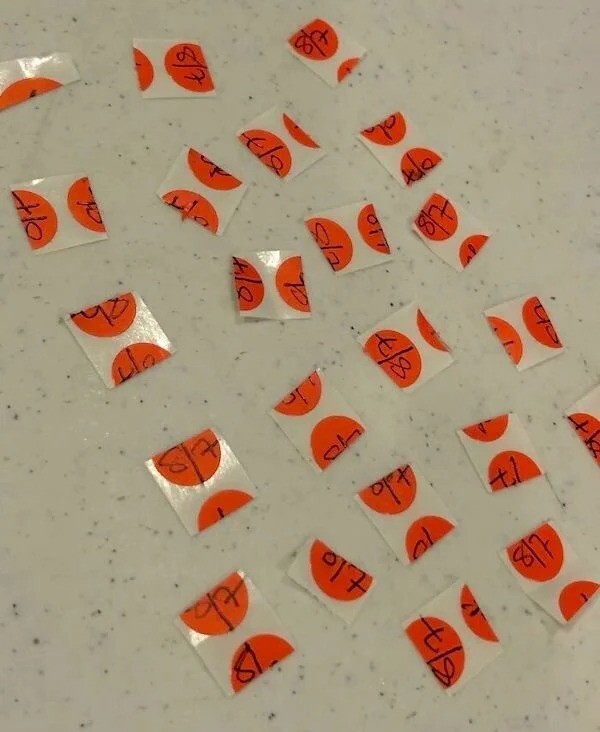 Рыба в микроволновке — это ещё цветочки: 22 человека, которым крупно не повезло с коллегами