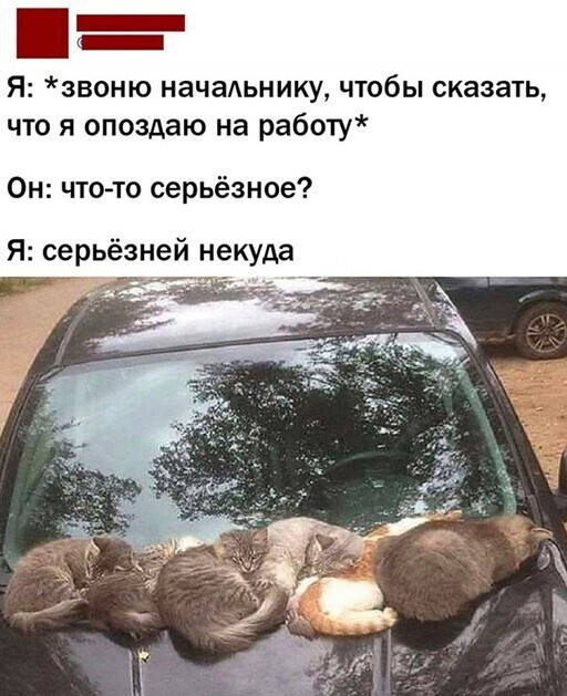 Смешные и познавательные картинки