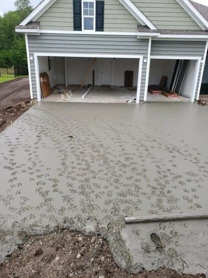 "Бригада заливала бетон у нового дома рядом с прудом. Они отошли на обед, и вернувшись, увидели эту картину. Тут прошлись утки.."