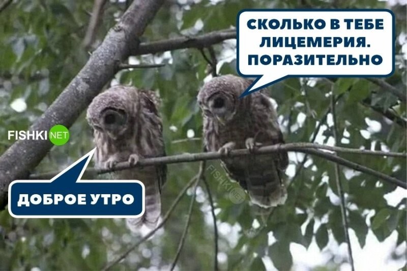 Смешные и познавательные картинки