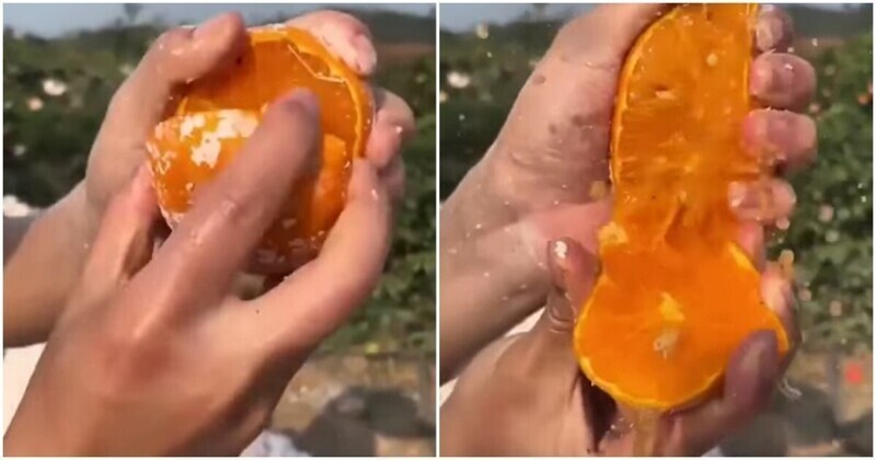 Магия спелых фруктов