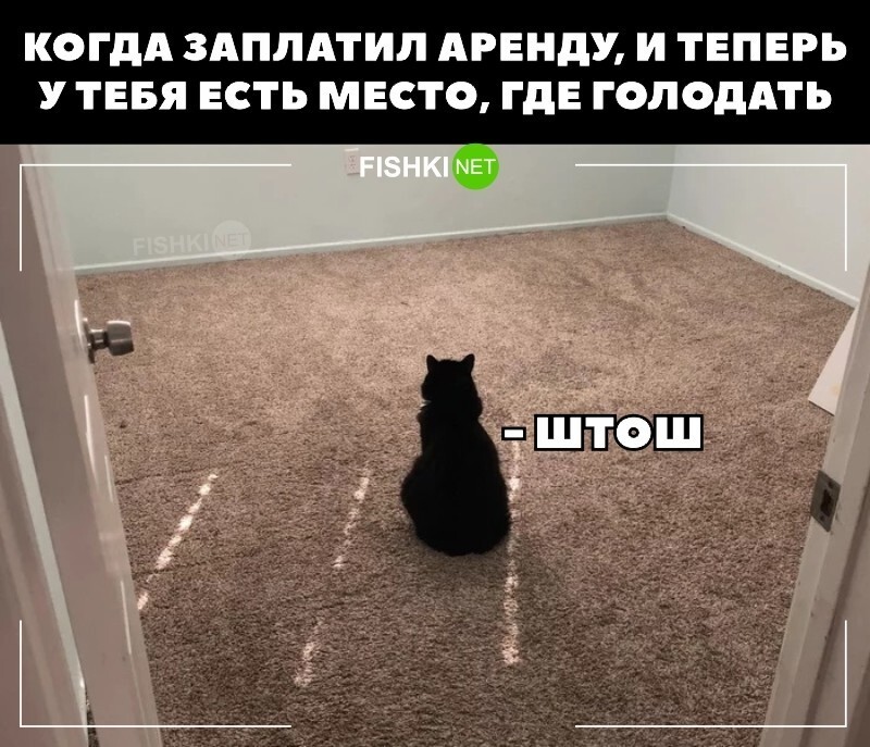 Штош