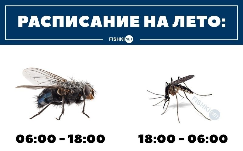 Классика 