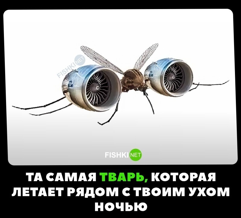 Вот почему так громко 