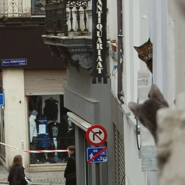 bccdadc0cb5b456ef7ad927c9a111e26.jpg.web