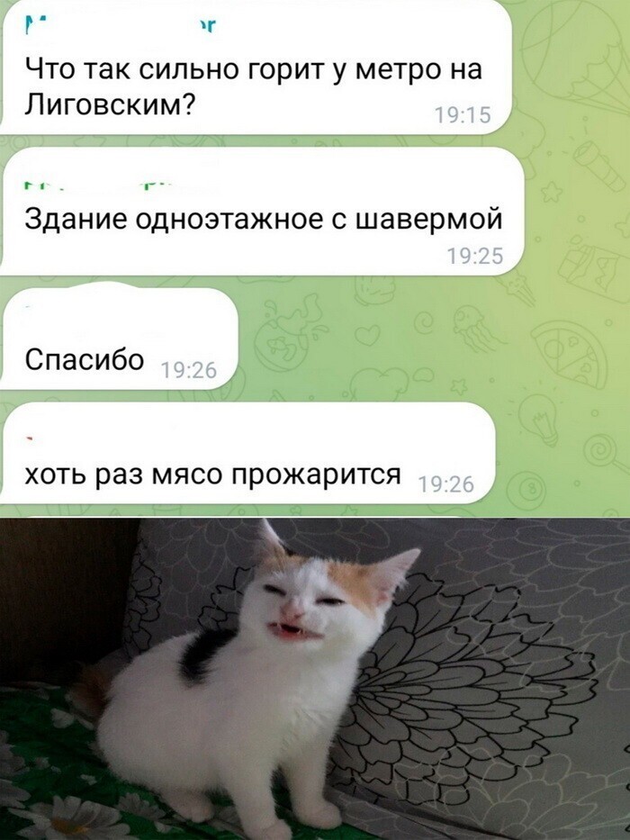 Скрины из соцсетей