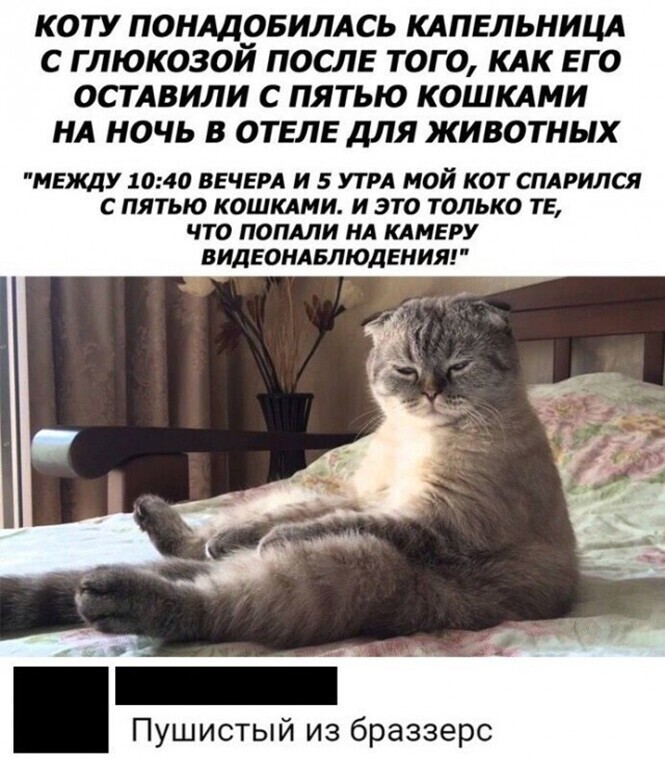 Смешные и познавательные картинки